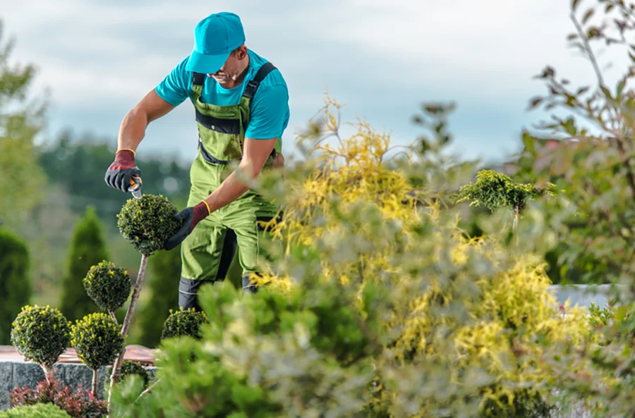 Trusted Landscape Services in Greensboro, NC Landscape Contractor in Greensboro, NC